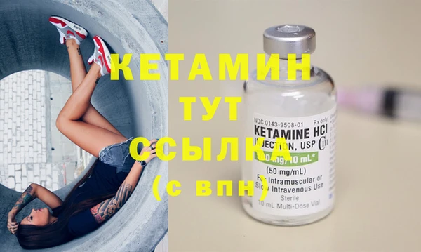 крисы Дмитриев