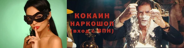 крисы Дмитриев