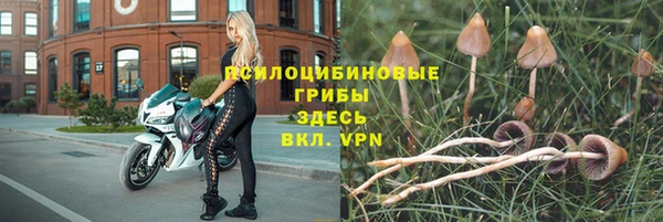 Альфа ПВП Дмитров