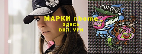 крисы Дмитриев