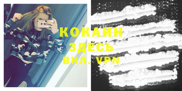крисы Дмитриев