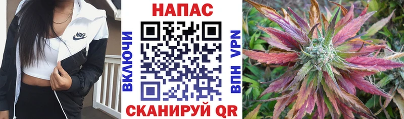 Канабис план  где продают   Плавск 